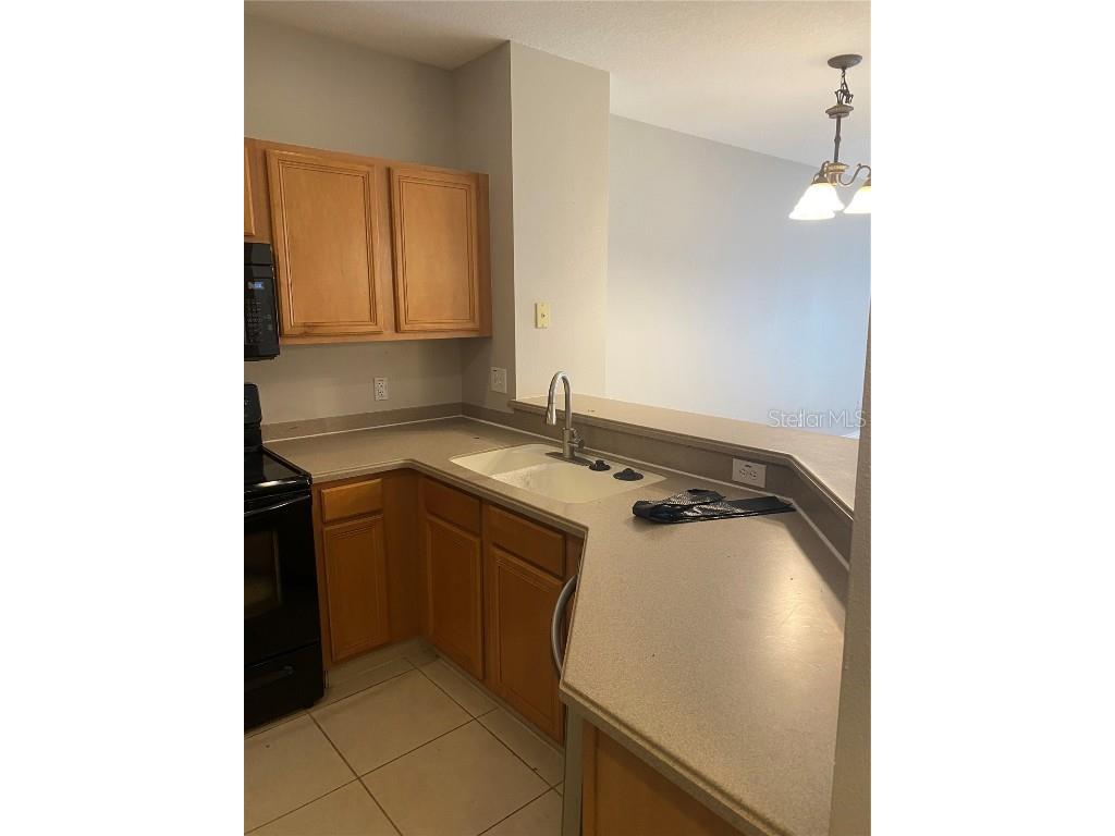 20406 Needletree Drive #20406 Tampa FL 33647 TB8449032 image4