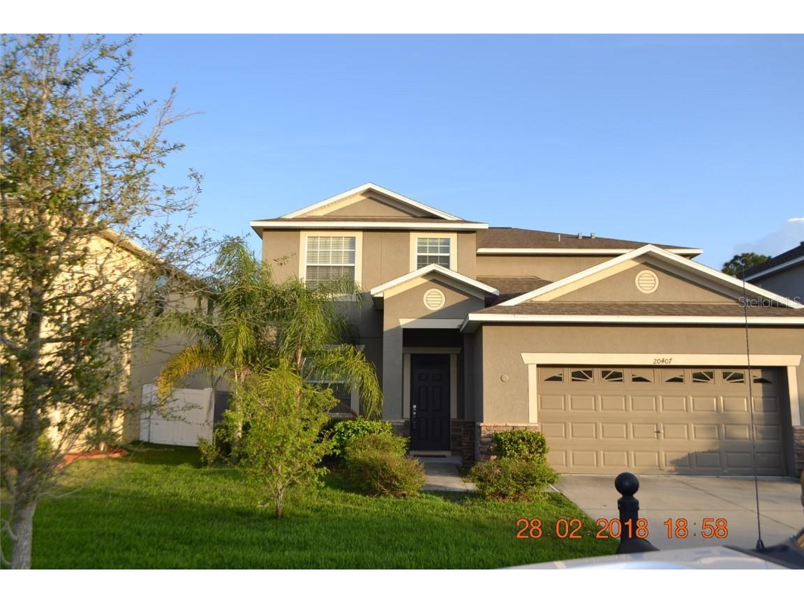 20407 Autumn Fern Avenue Tampa FL 33647 T3507727 image1
