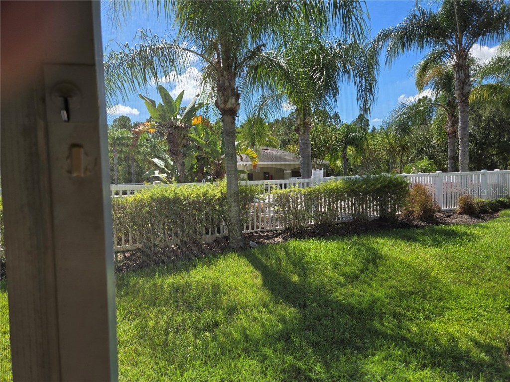 20407 Berrywood Lane Tampa FL 33647 TB8432875 image12