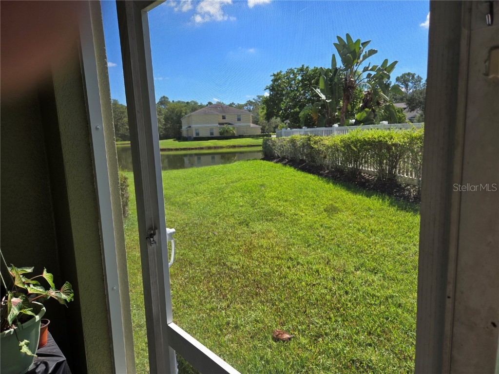 20407 Berrywood Lane Tampa FL 33647 TB8432875 image13