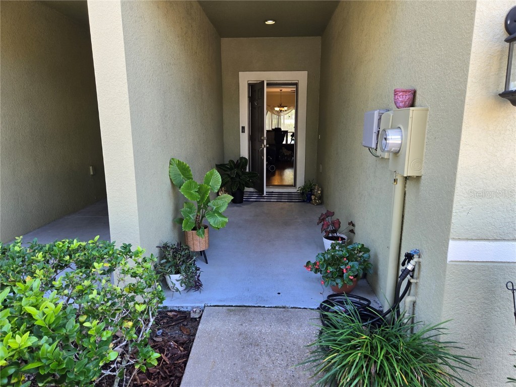 20407 Berrywood Lane Tampa FL 33647 TB8432875 image14