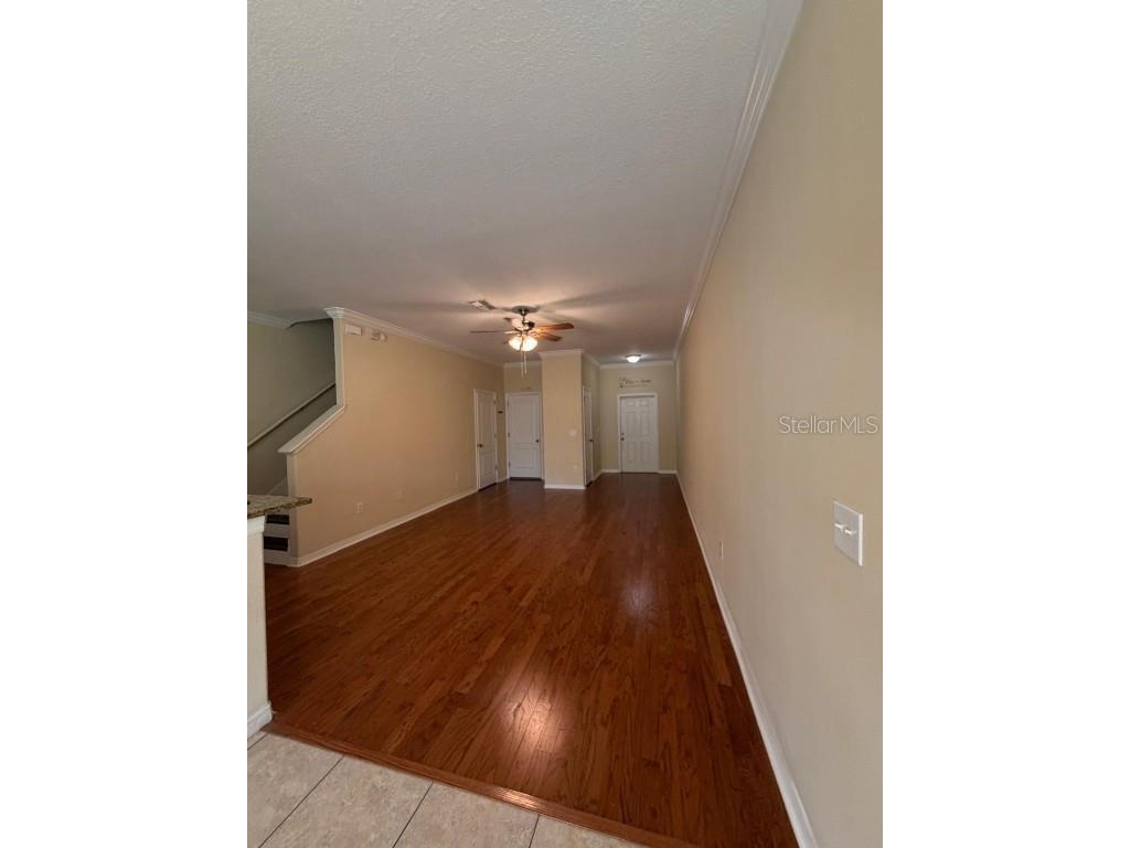 20407 Berrywood Lane Tampa FL 33647 TB8432875 image20