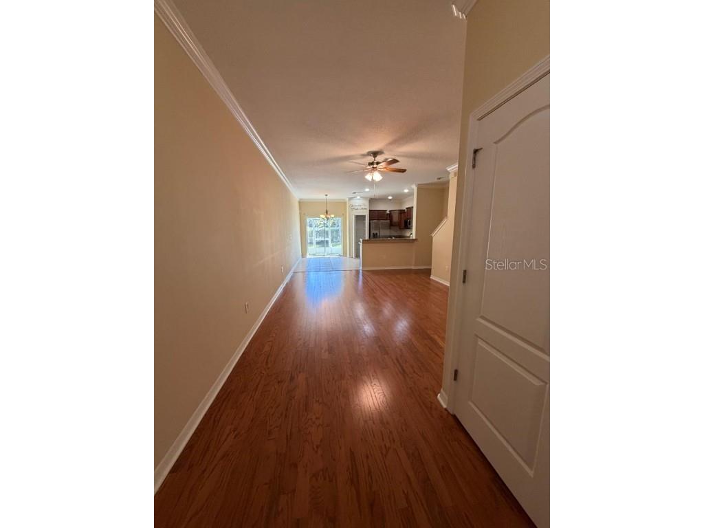 20407 Berrywood Lane Tampa FL 33647 TB8432875 image21