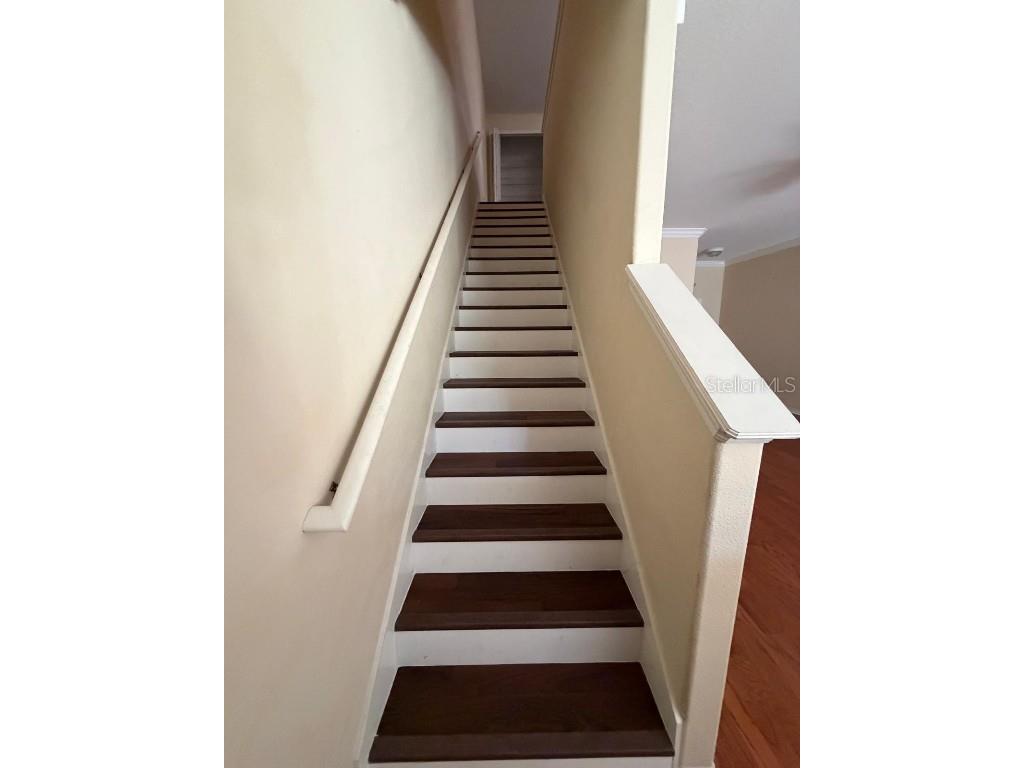 20407 Berrywood Lane Tampa FL 33647 TB8432875 image25