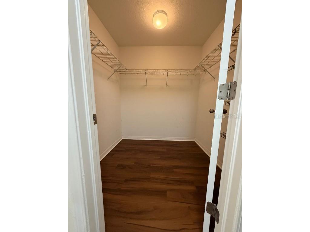 20407 Berrywood Lane Tampa FL 33647 TB8432875 image30