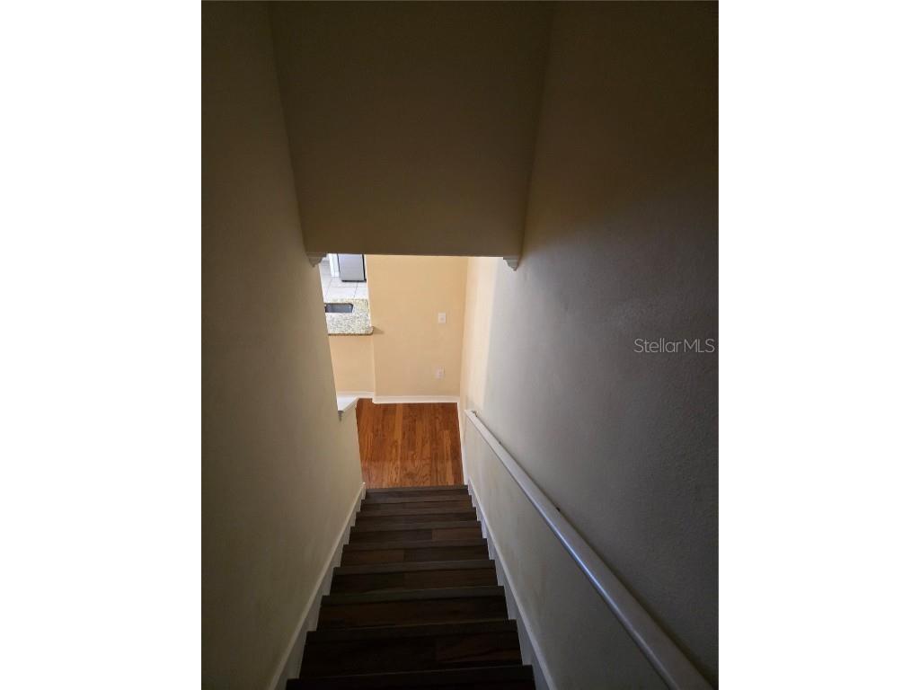 20407 Berrywood Lane Tampa FL 33647 TB8432875 image35