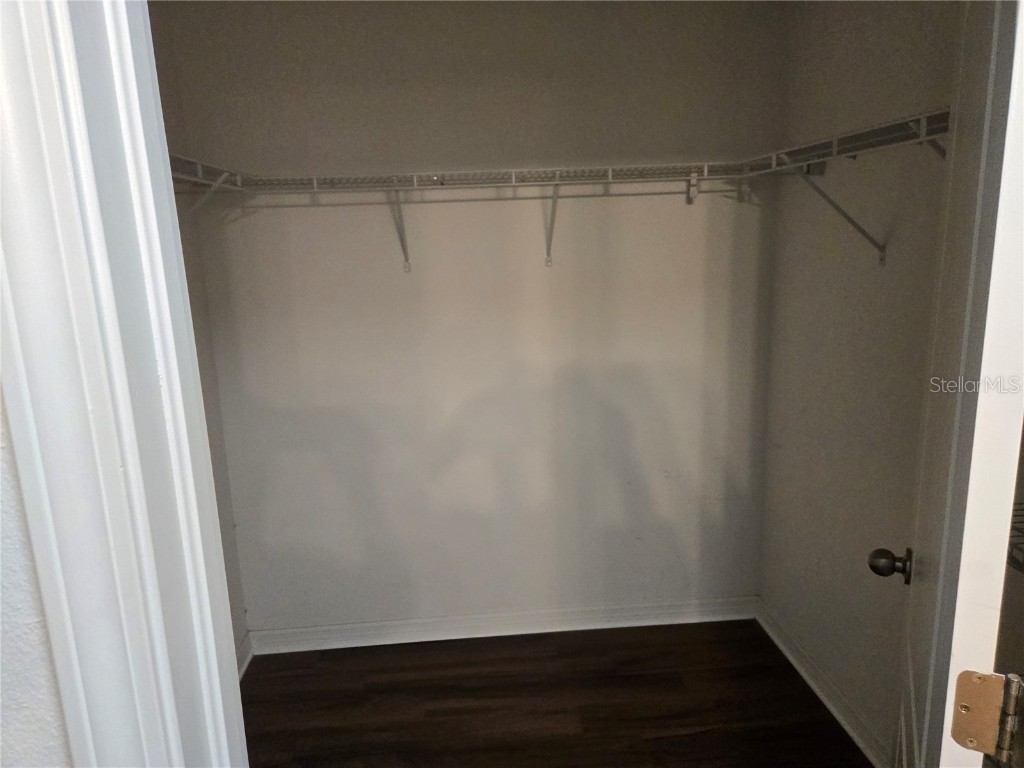 20407 Berrywood Lane Tampa FL 33647 TB8432875 image37