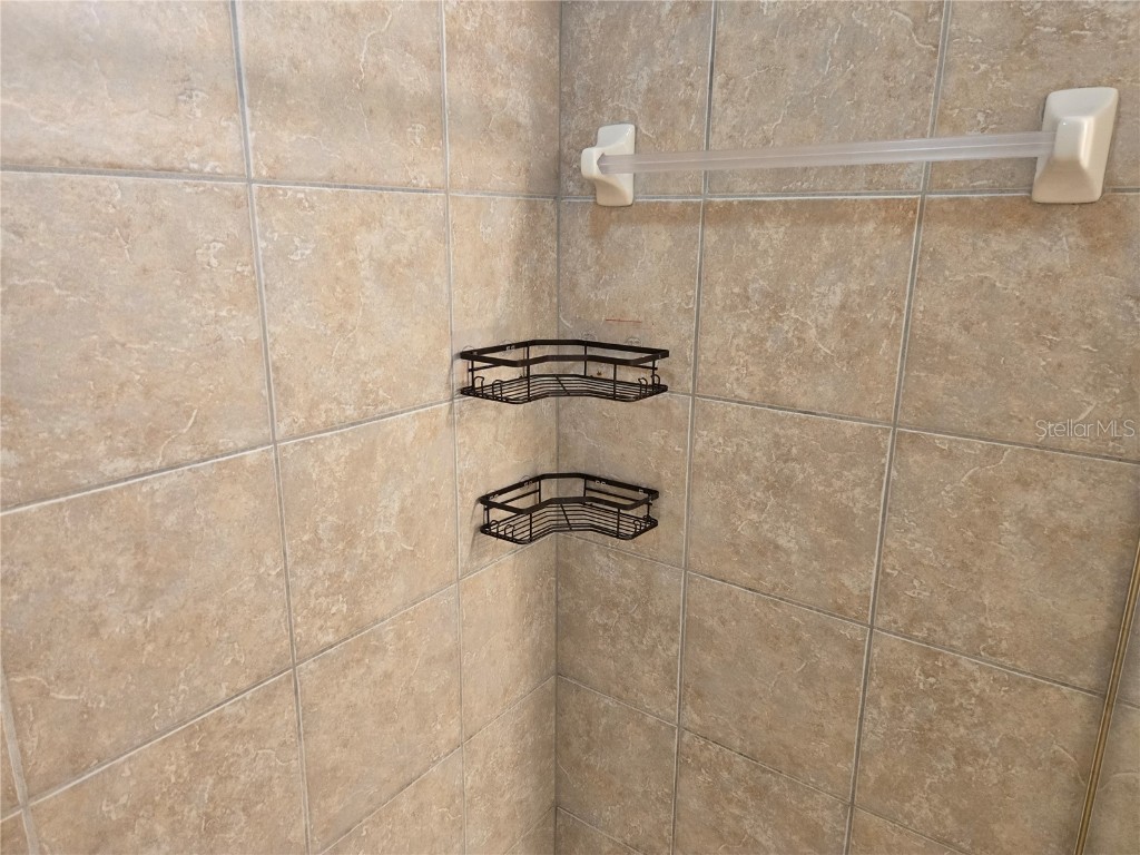 20407 Berrywood Lane Tampa FL 33647 TB8432875 image40