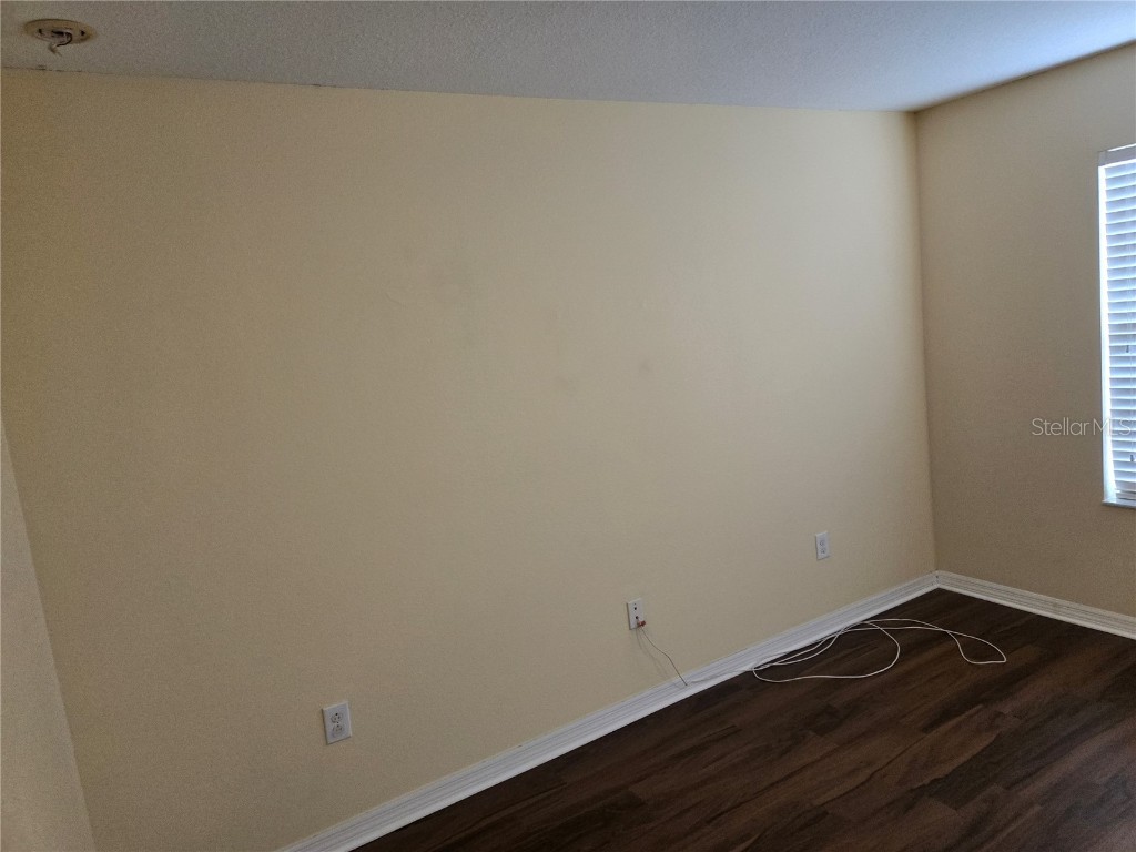 20407 Berrywood Lane Tampa FL 33647 TB8432875 image42