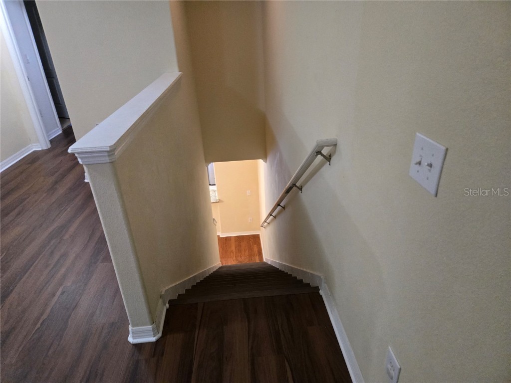 20407 Berrywood Lane Tampa FL 33647 TB8432875 image51