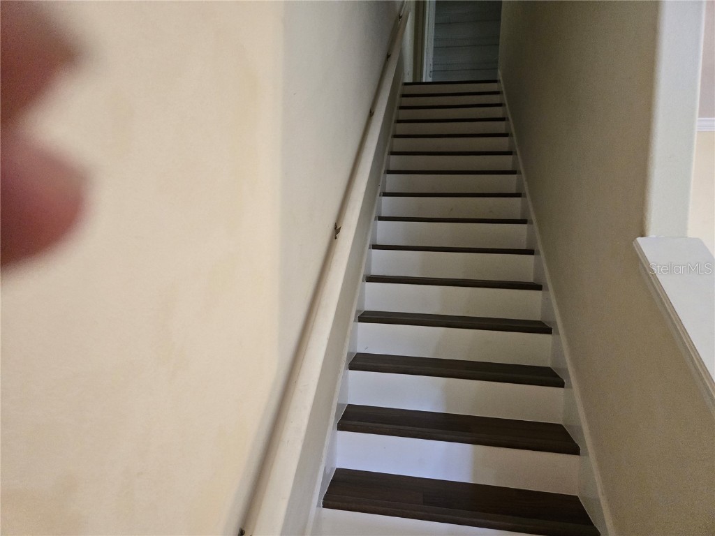 20407 Berrywood Lane Tampa FL 33647 TB8432875 image53