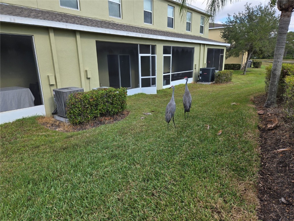 20407 Berrywood Lane Tampa FL 33647 TB8432875 image59