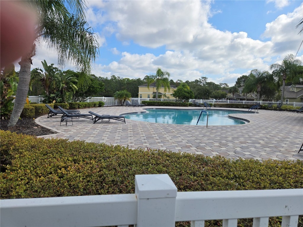 20407 Berrywood Lane Tampa FL 33647 TB8432875 image60