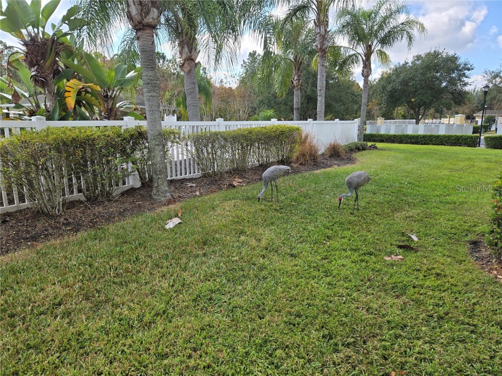 20407 Berrywood Lane Tampa FL 33647 TB8432875 image63