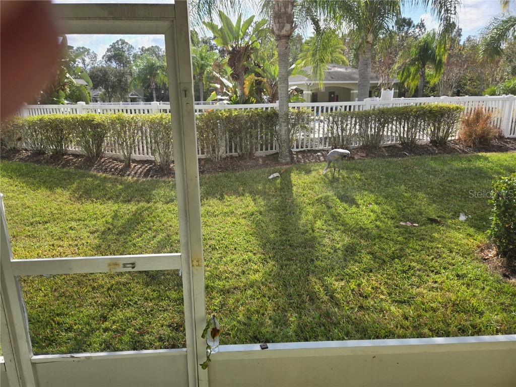 20407 Berrywood Lane Tampa FL 33647 TB8432875 image65