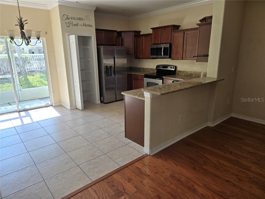 20407 Berrywood Lane Tampa FL 33647 TB8432875 image68