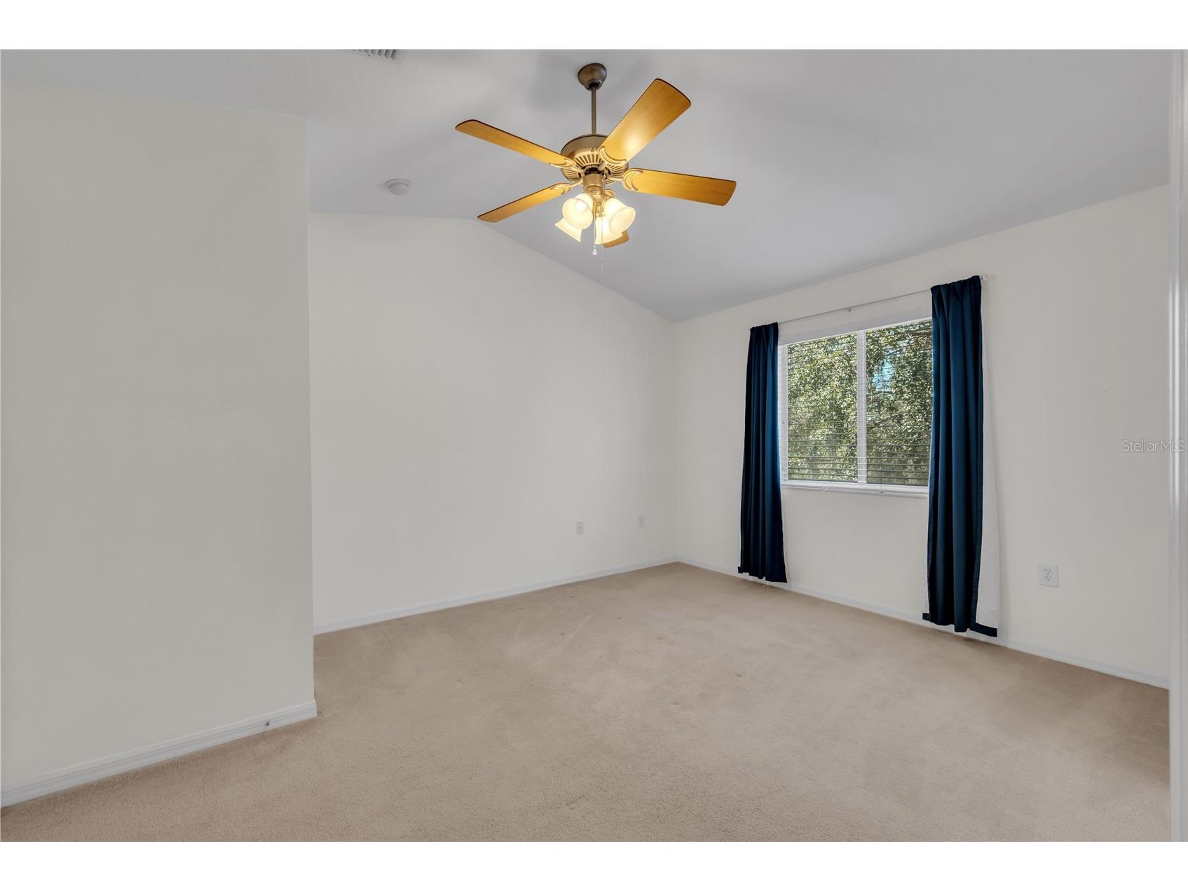 20408 Needletree Drive Tampa FL 33647 TB8481074 image19