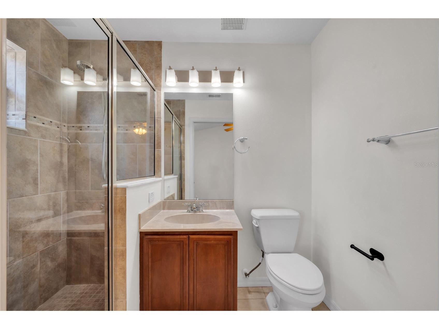20408 Needletree Drive Tampa FL 33647 TB8481074 image21