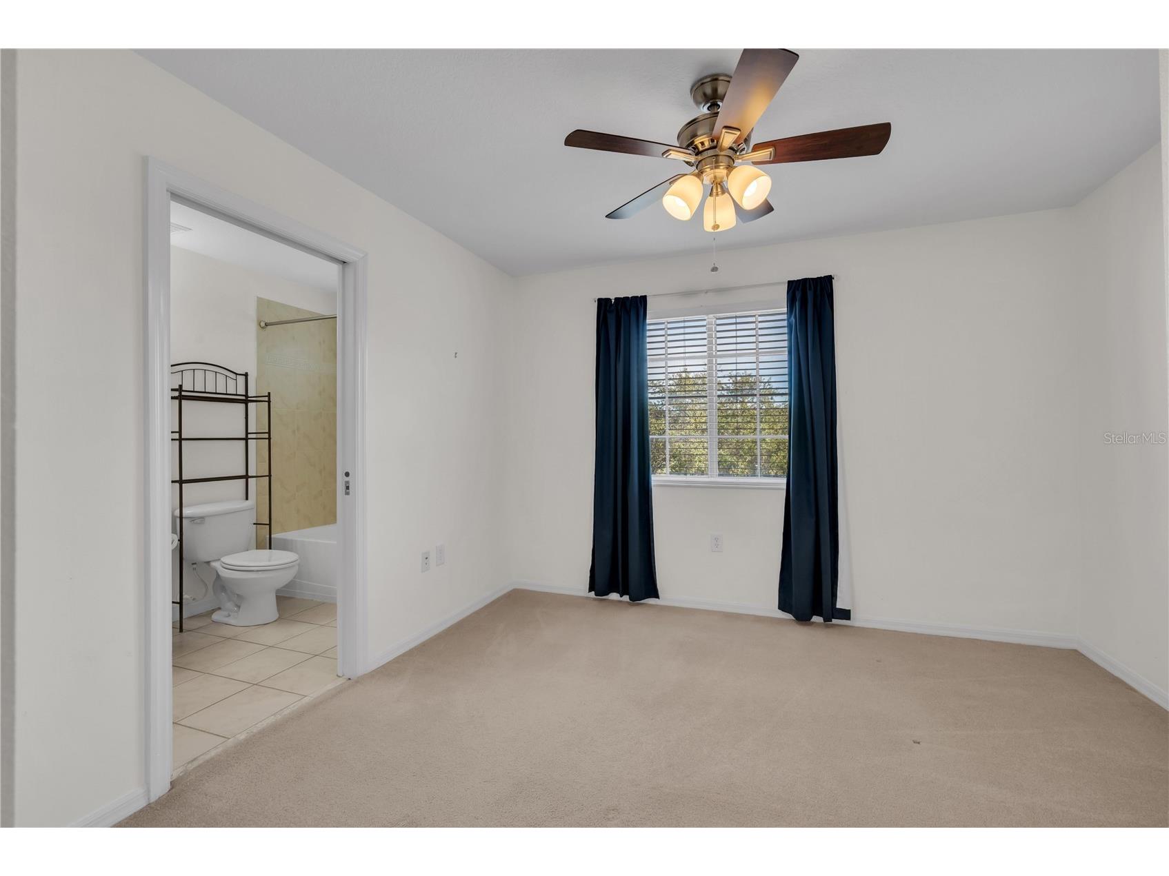 20408 Needletree Drive Tampa FL 33647 TB8481074 image24