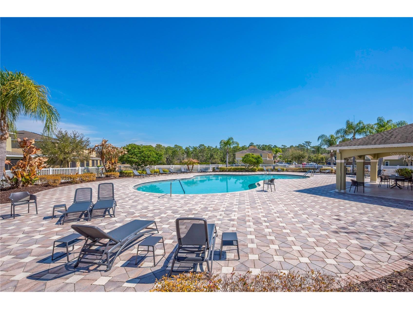 20408 Needletree Drive Tampa FL 33647 TB8481074 image27