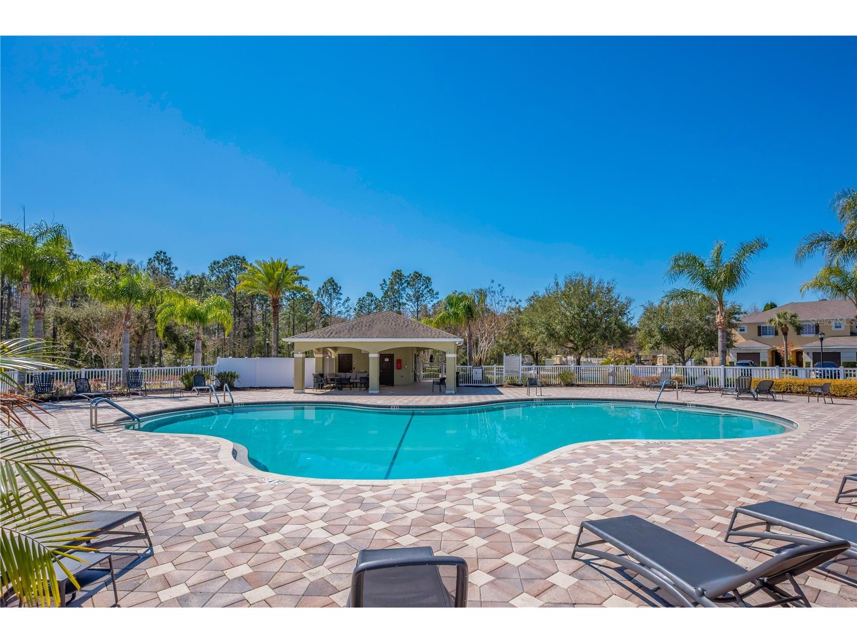 20408 Needletree Drive Tampa FL 33647 TB8481074 image28