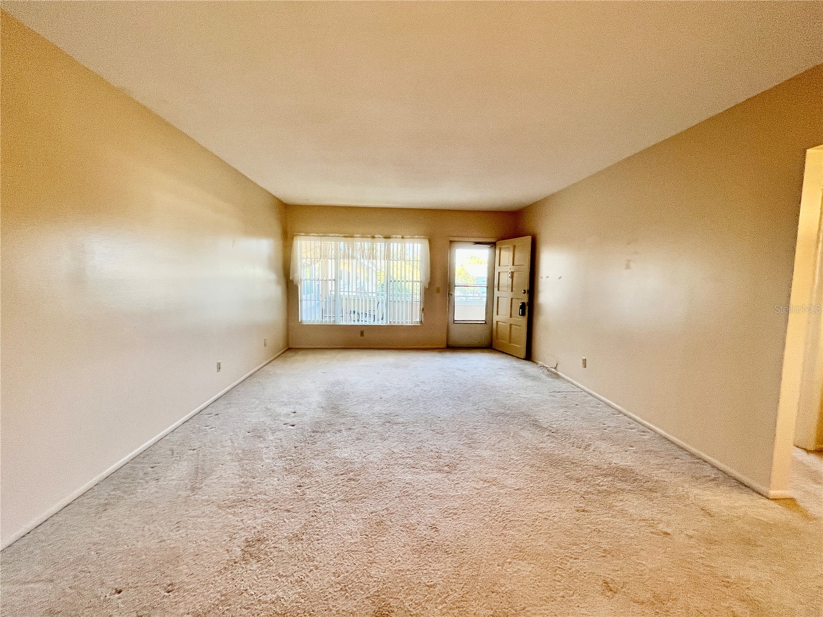 2041 Australia Way W #49 Clearwater FL 33763 TB8484870 image8