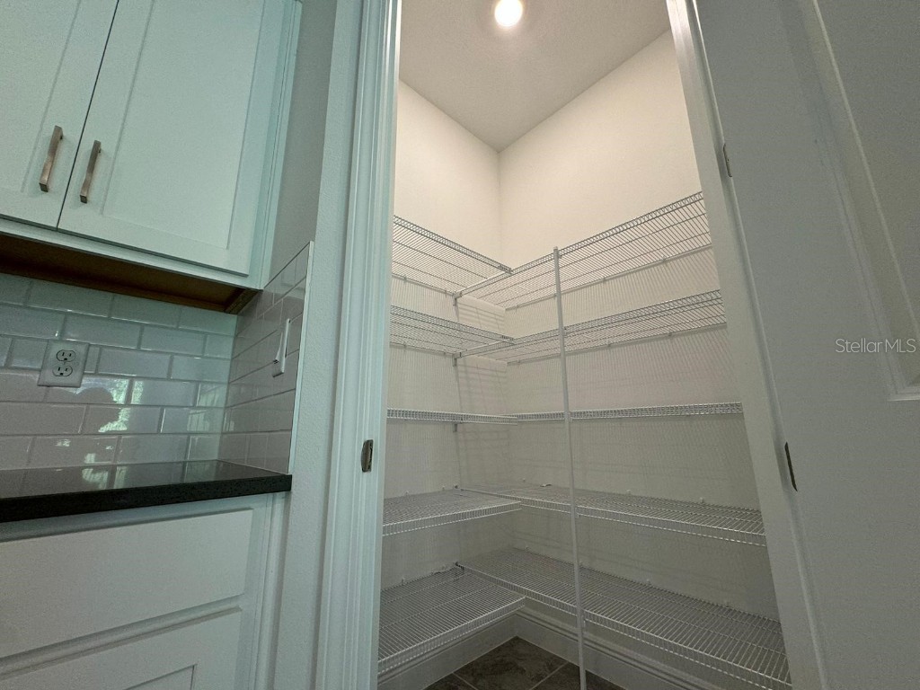 2041 Axel Street Minneola FL 34715 O6368613 image16