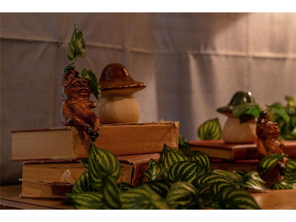 2041 Lacie Jo Lane Kissimmee FL 34743 O6318455 image28