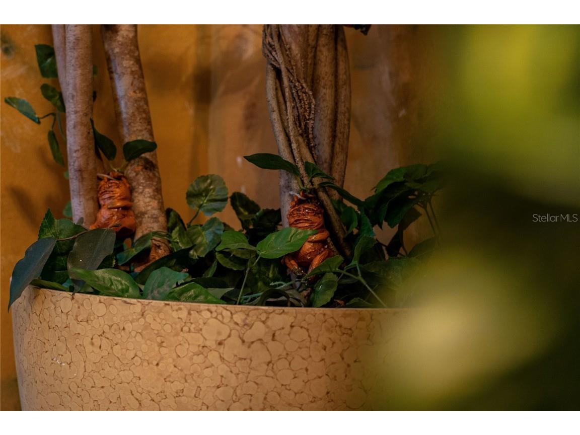 2041 Lacie Jo Lane Kissimmee FL 34743 O6318455 image30