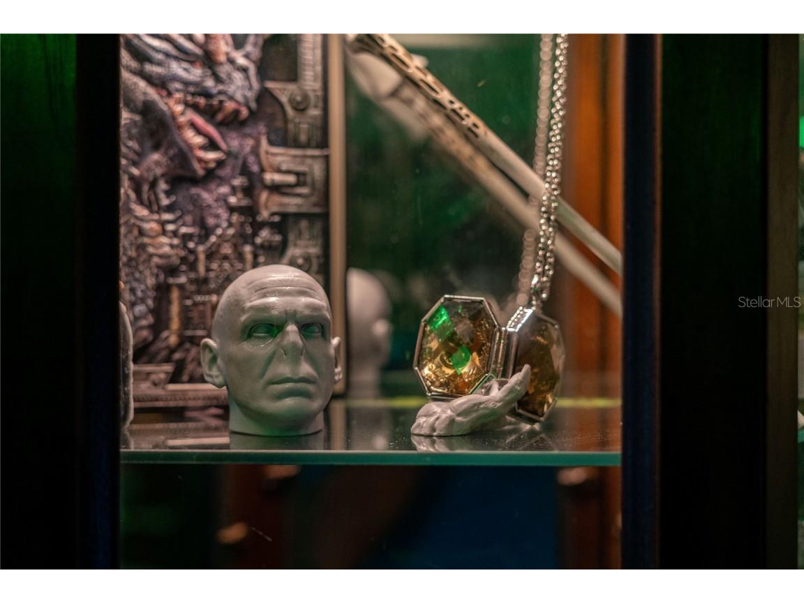 2041 Lacie Jo Lane Kissimmee FL 34743 O6318455 image36