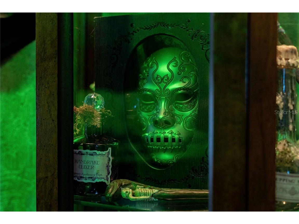 2041 Lacie Jo Lane Kissimmee FL 34743 O6318455 image37