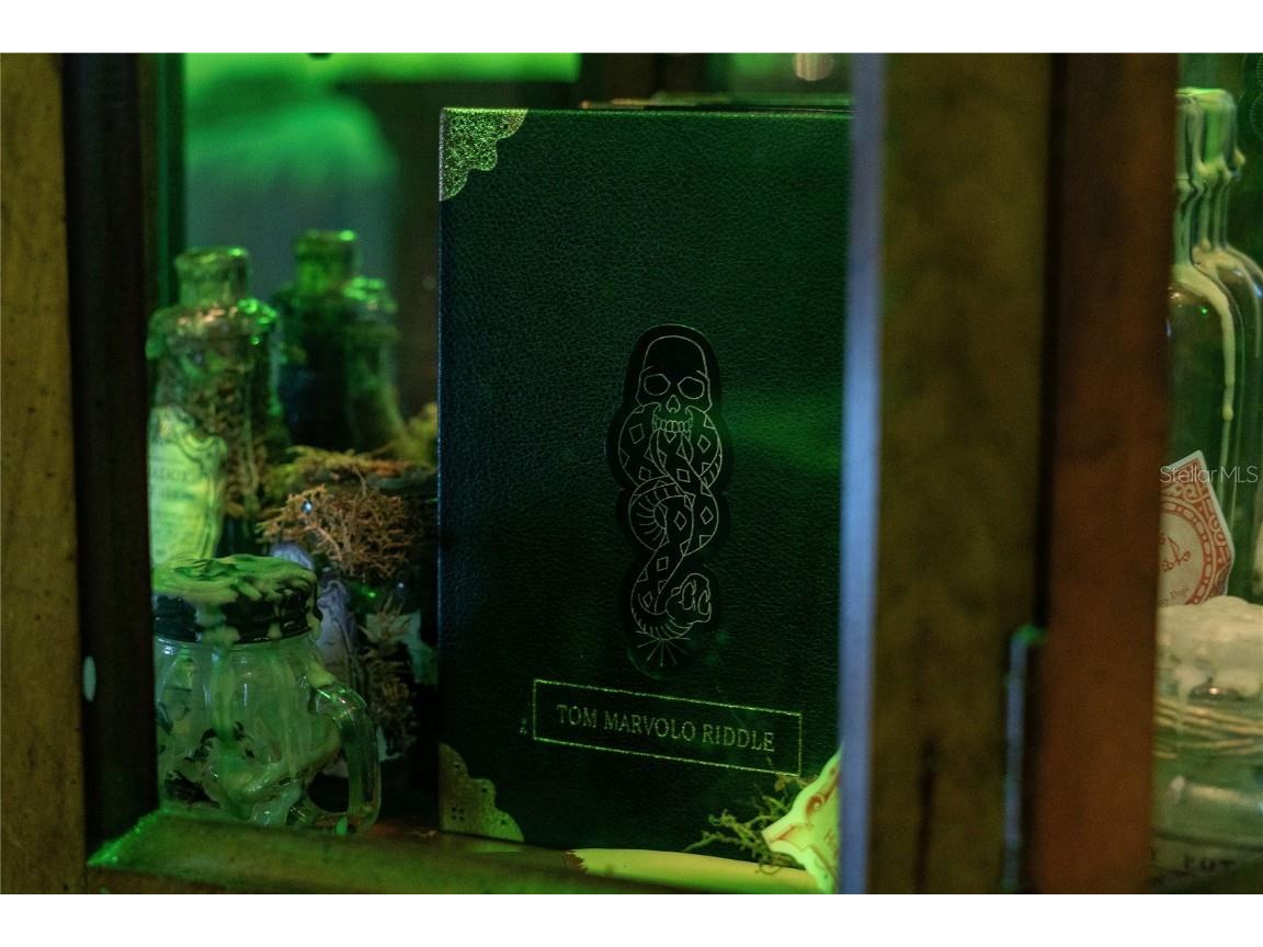 2041 Lacie Jo Lane Kissimmee FL 34743 O6318455 image38