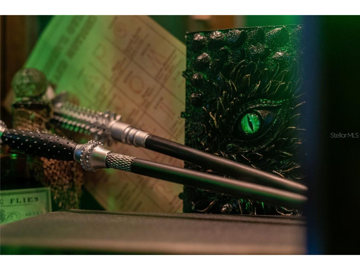 2041 Lacie Jo Lane Kissimmee FL 34743 O6318455 image39