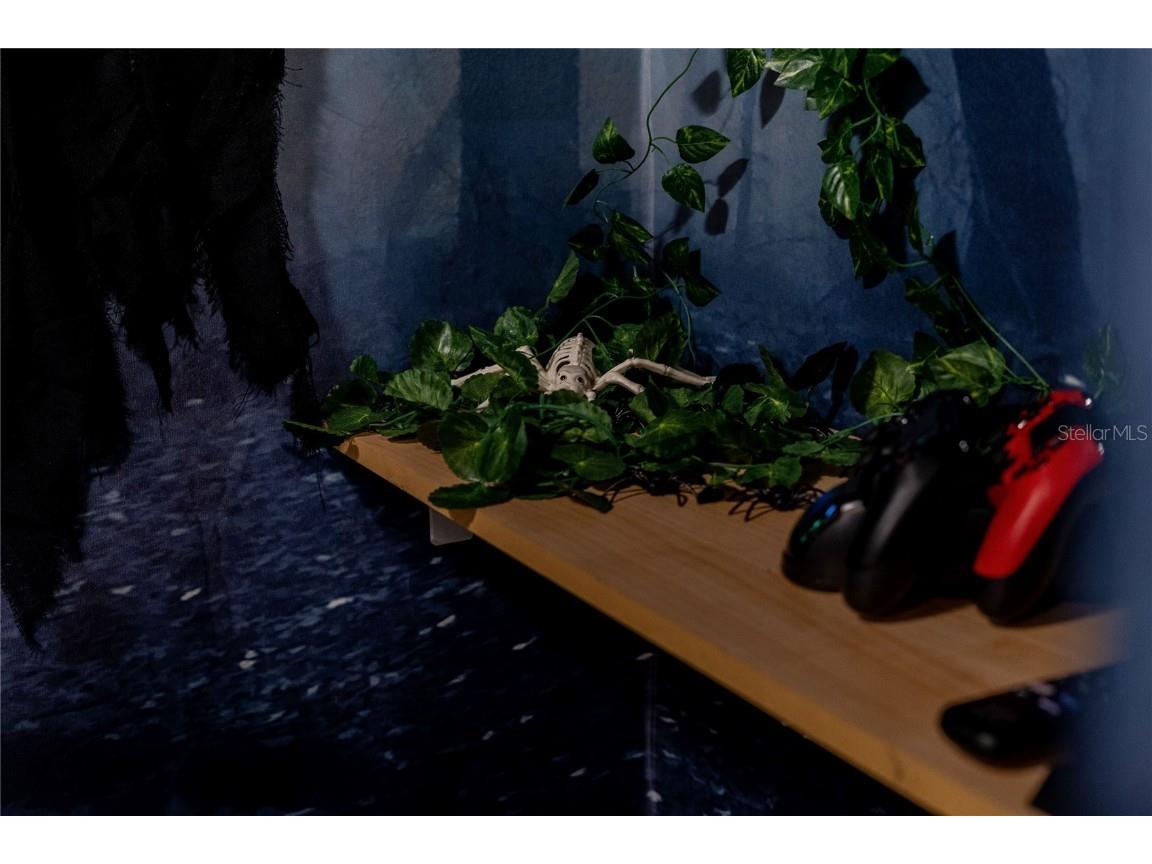 2041 Lacie Jo Lane Kissimmee FL 34743 O6318455 image44