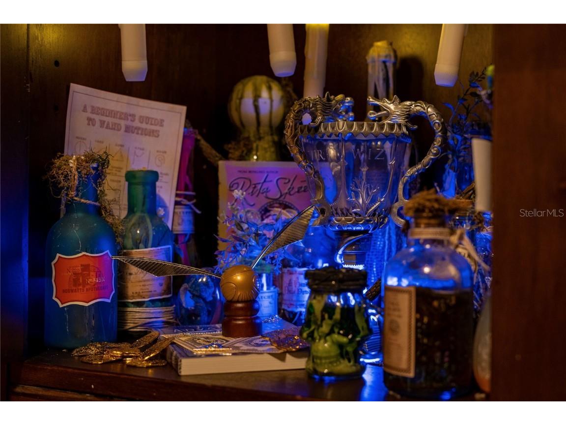 2041 Lacie Jo Lane Kissimmee FL 34743 O6318455 image56