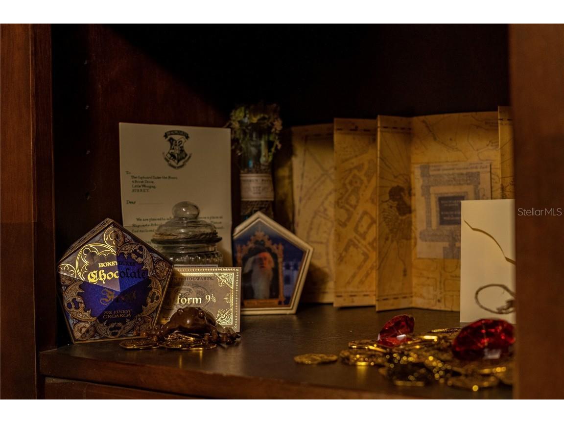 2041 Lacie Jo Lane Kissimmee FL 34743 O6318455 image57