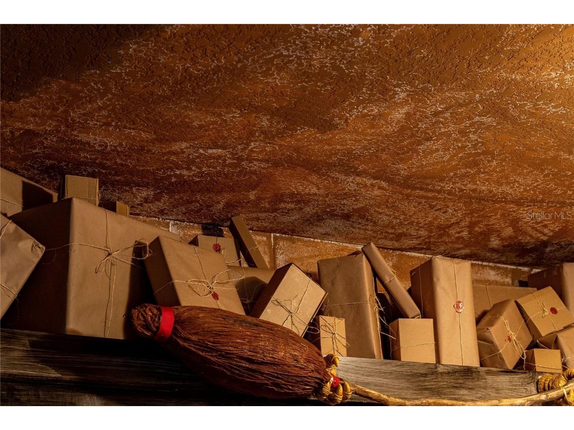 2041 Lacie Jo Lane Kissimmee FL 34743 O6318455 image58