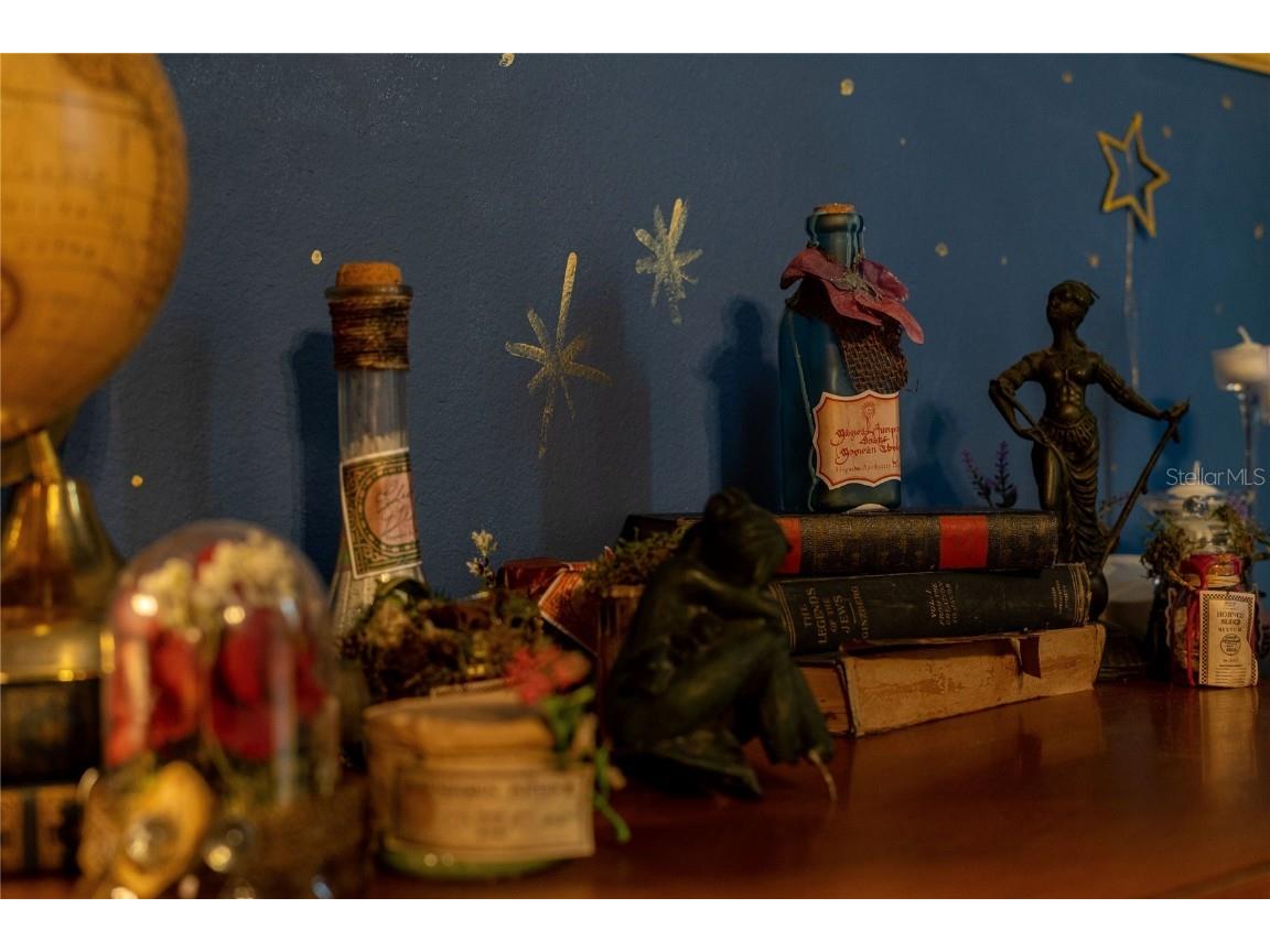 2041 Lacie Jo Lane Kissimmee FL 34743 O6318455 image62