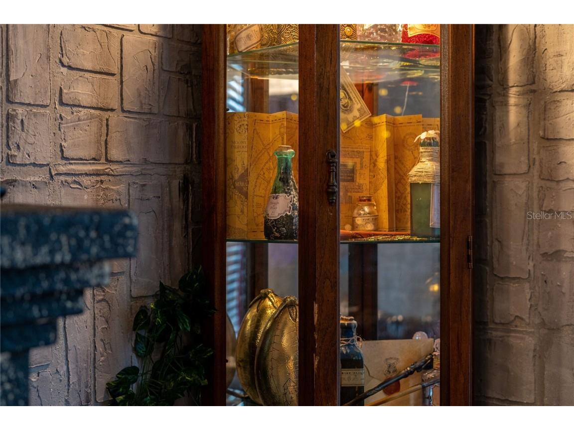 2041 Lacie Jo Lane Kissimmee FL 34743 O6318455 image67