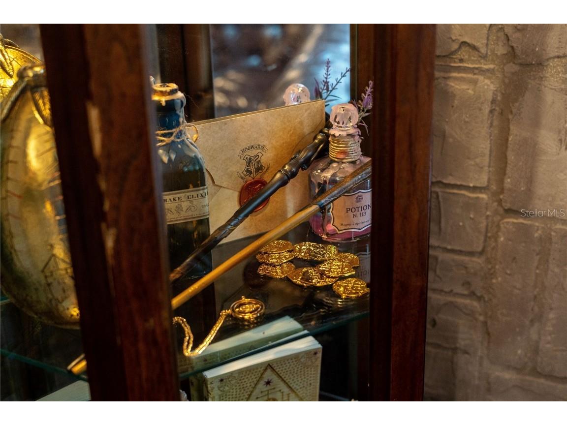 2041 Lacie Jo Lane Kissimmee FL 34743 O6318455 image69