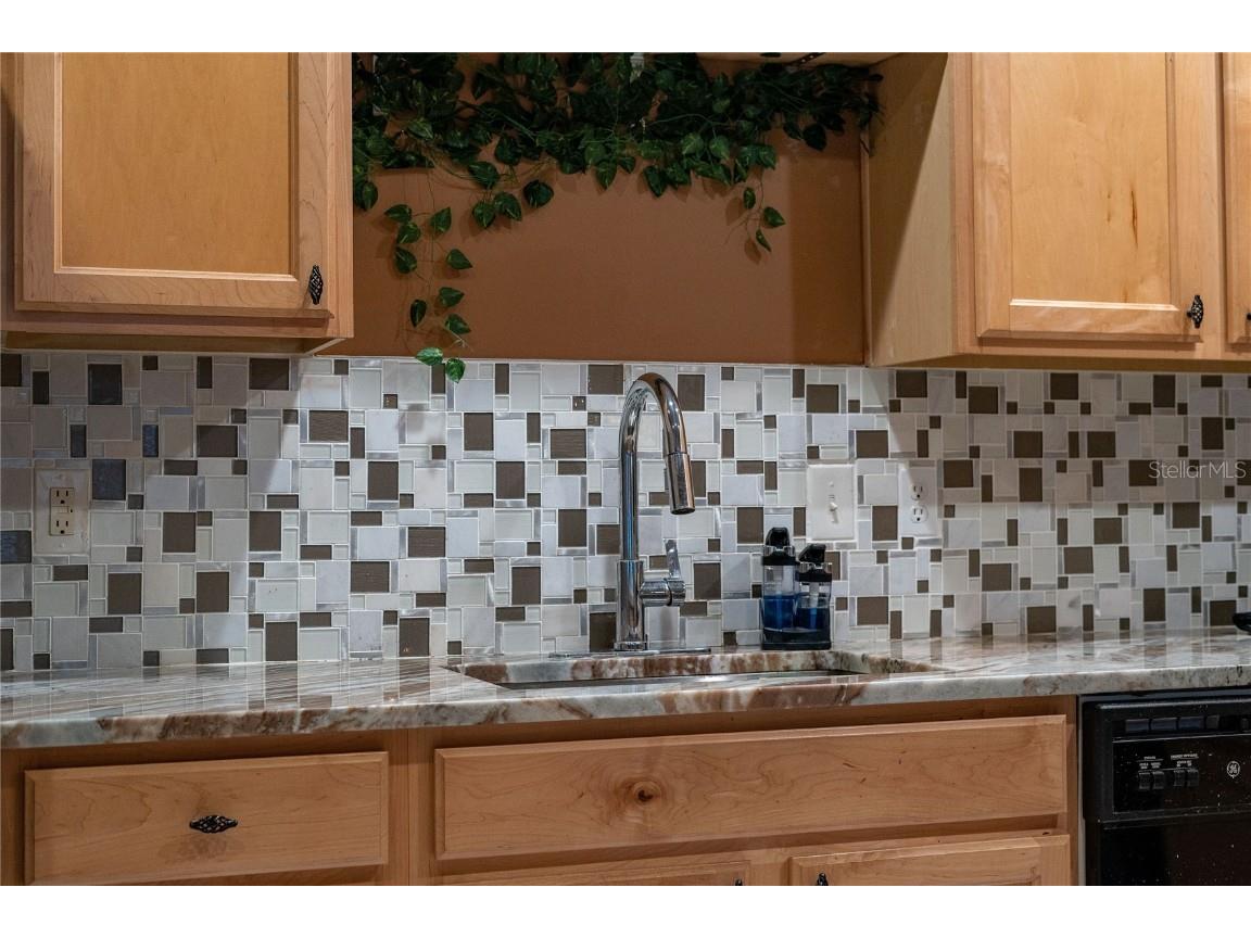 2041 Lacie Jo Lane Kissimmee FL 34743 O6318455 image70