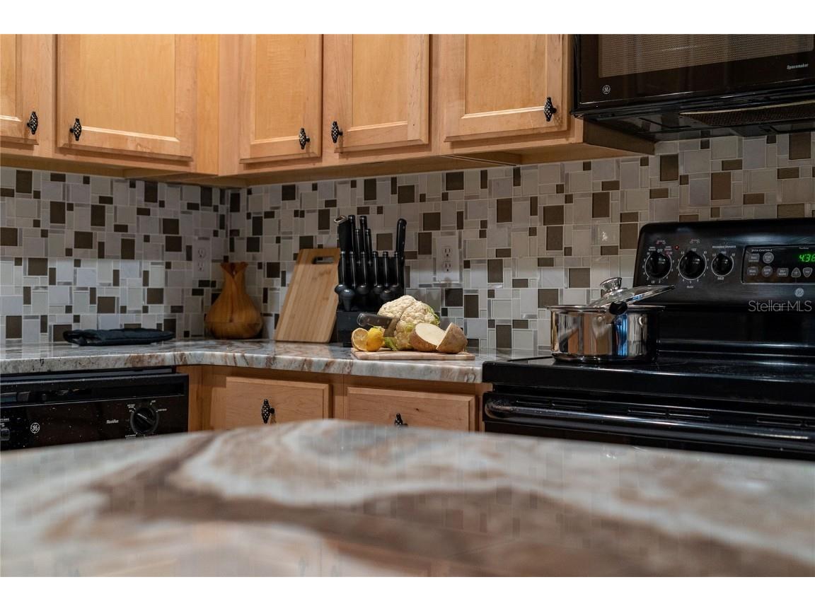 2041 Lacie Jo Lane Kissimmee FL 34743 O6318455 image71