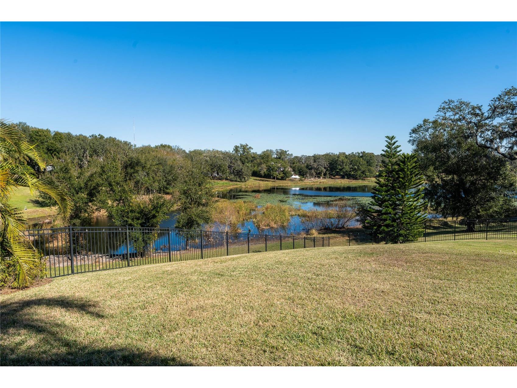 2041 Lake Fischer Cove Lane Gotha FL 34734 O6413391 image48