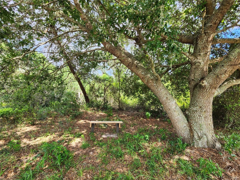 2041 Montecito Avenue Deltona FL 32738 - LAKE DUPONT V4931407 image1