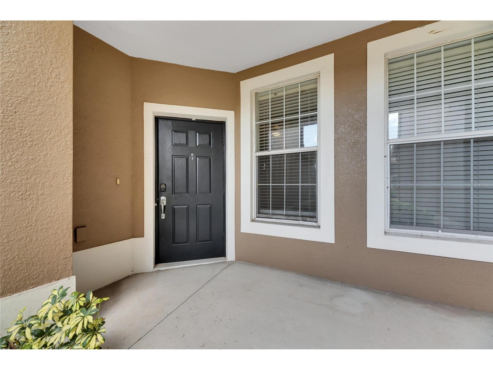 2041 River Turia Circle #2041 Riverview FL 33578 TB8508333 image5