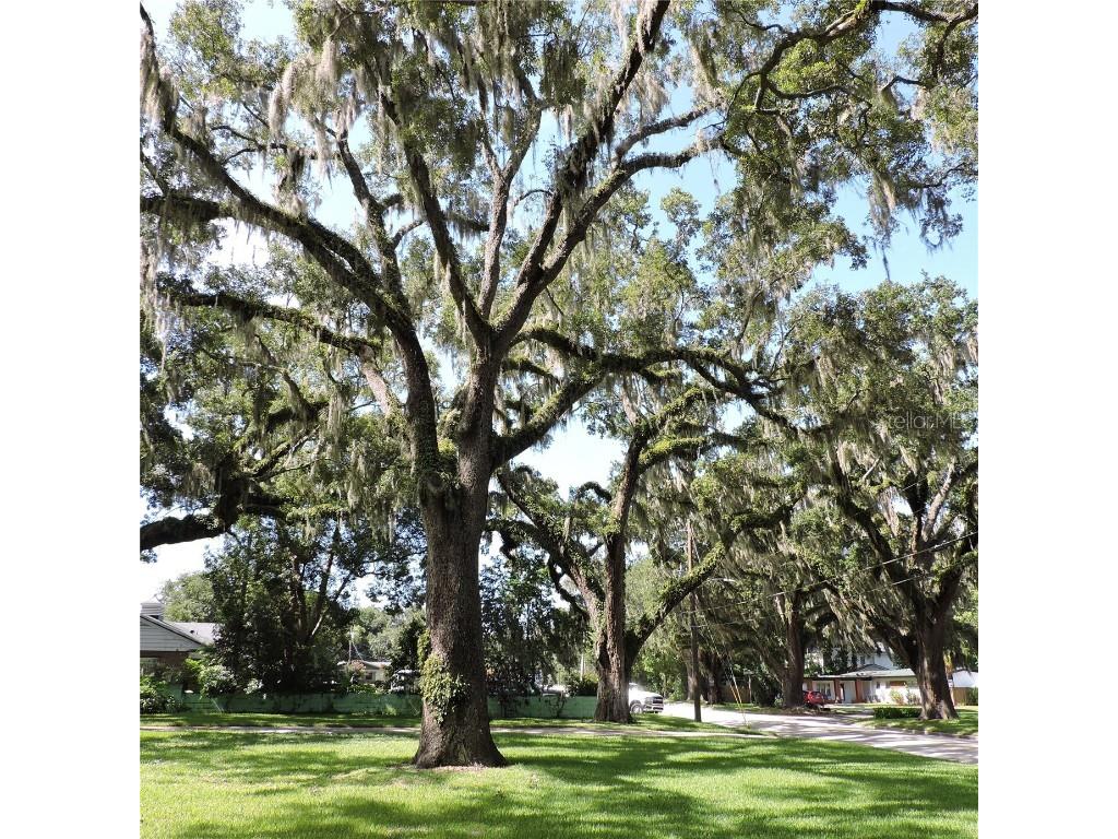 2041 S Mellonville Avenue Sanford FL 32771 O6323051 image50