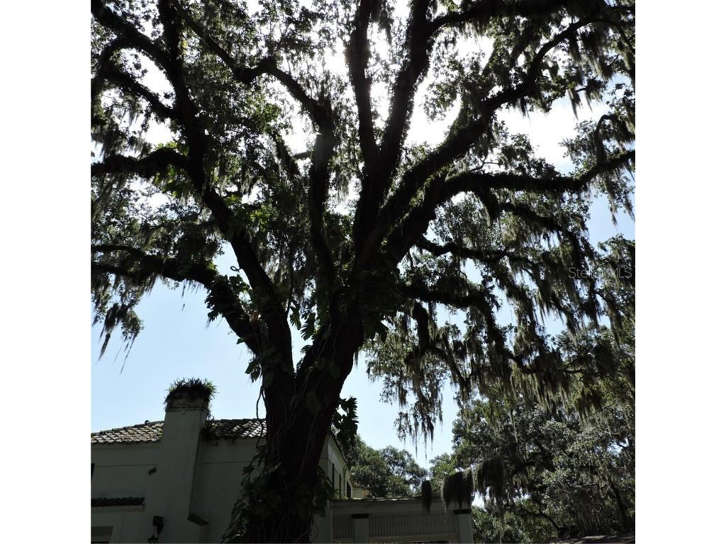 2041 S Mellonville Avenue Sanford FL 32771 O6323051 image52