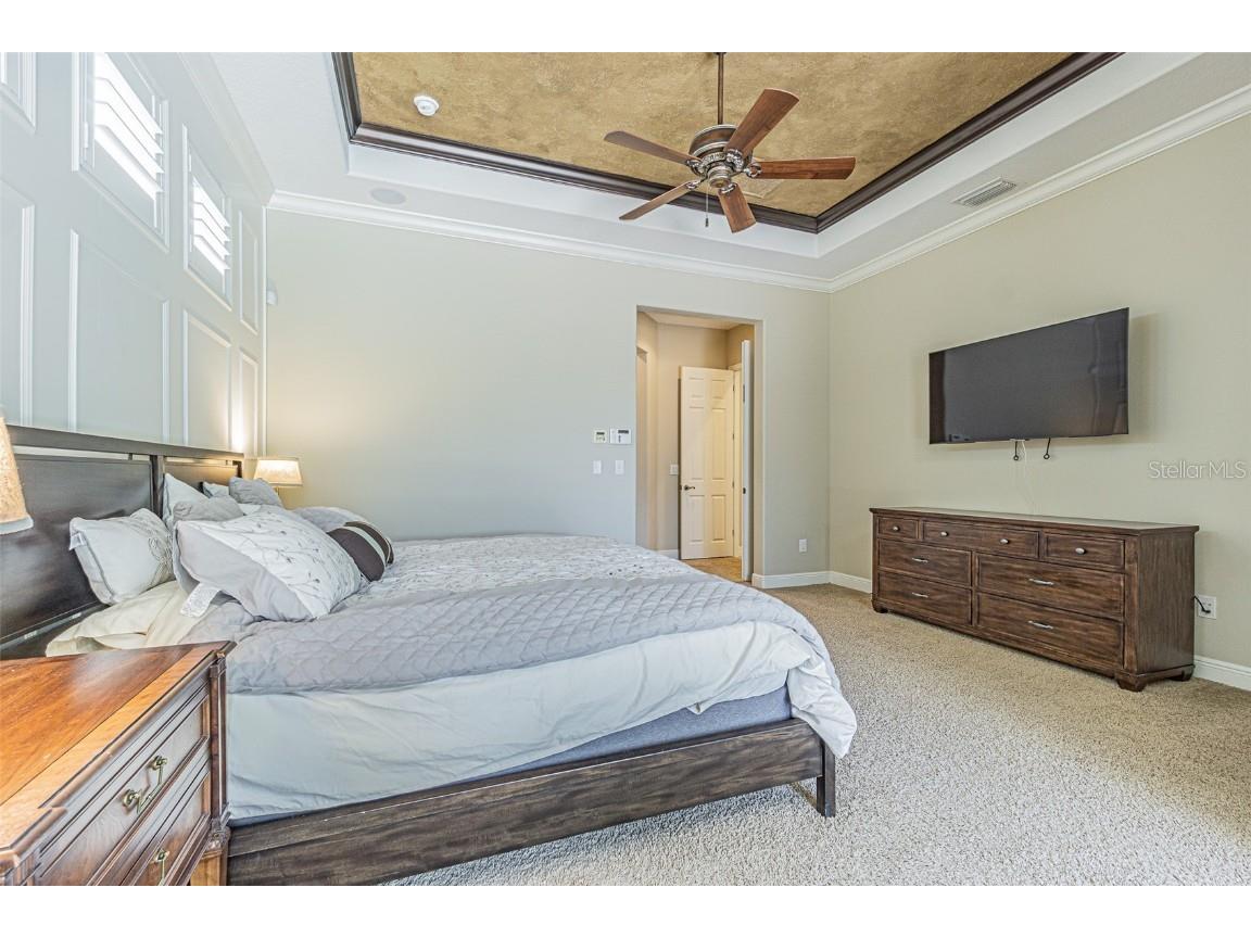 20411 Lace Cascade Road Land O Lakes FL 34637 TB8412719 image16