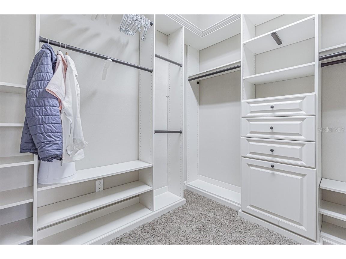 20411 Lace Cascade Road Land O Lakes FL 34637 TB8412719 image18