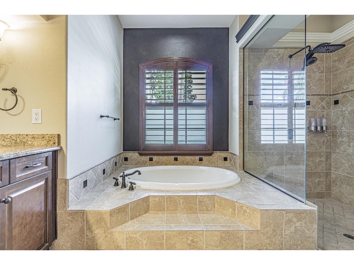 20411 Lace Cascade Road Land O Lakes FL 34637 TB8412719 image20